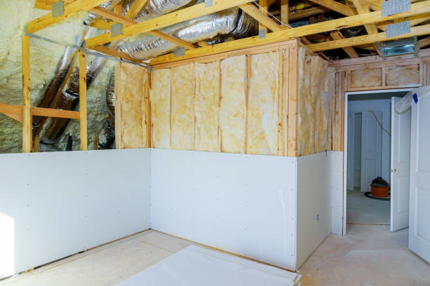 Best Radiant Barrier Insulation  in Fellsmere, FL